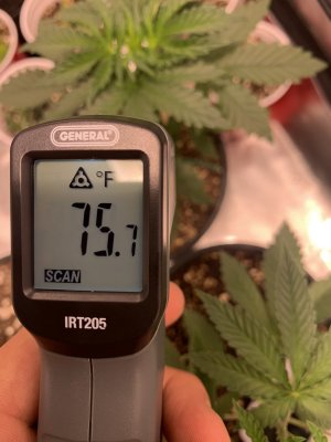 Ideas on how to lower grow room temps. HELP PLEASE