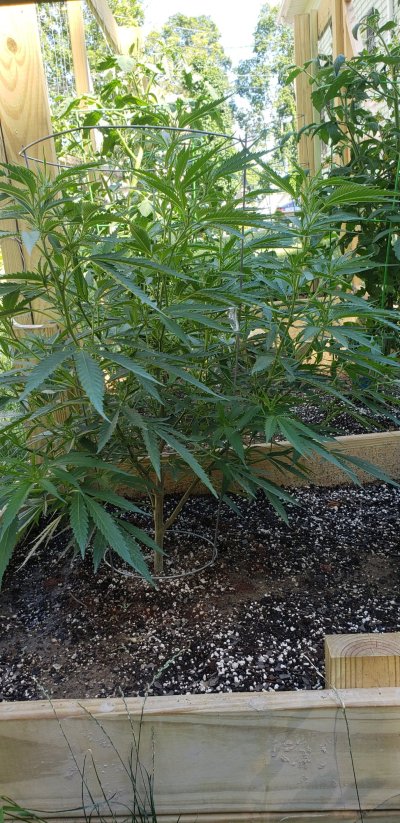Update and suggestions.