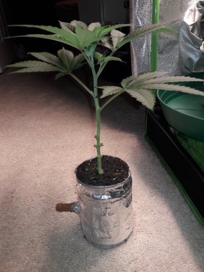 Container too small?