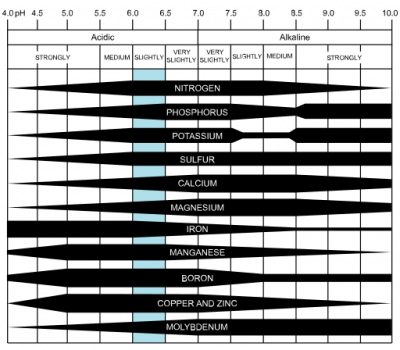 512px-Soil_pH_effect_on_nutrient_availability.svg.png
