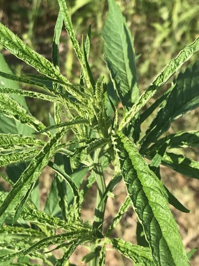 Help!  Rookie with a problem.