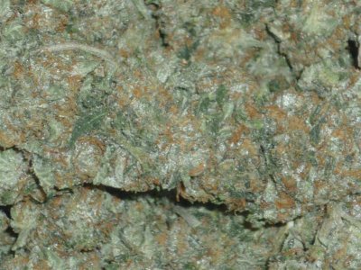 Trainwreck (1) (Large).jpg