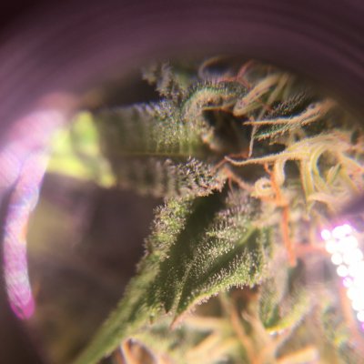C3E3CB5A-A4C8-4493-9EF2-601451AAEDC8.jpeg