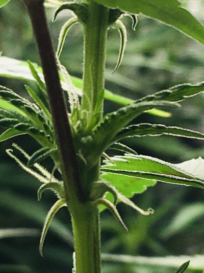 Minimal supplies for mixing nutrients