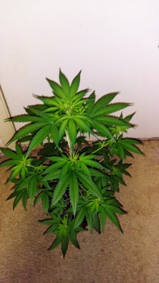 20200720_081908.jpg