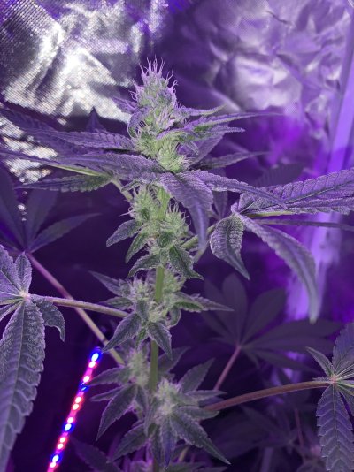 Is this normal?
