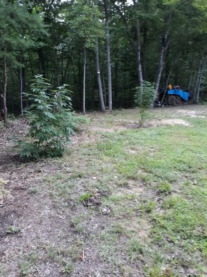 20200722_180627.jpg