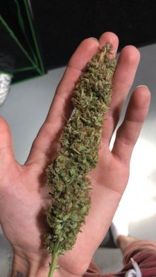 main-line topping ******best method******