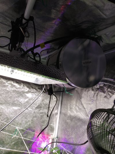 Having issues with humidity