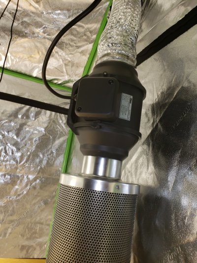 not-bad-grow-3000-watts-485-tall-inside-peak-taller-6.jpg