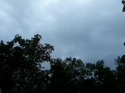 20200725_101528.jpg