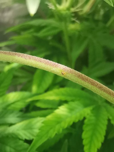 Is this something I should be concerned about?