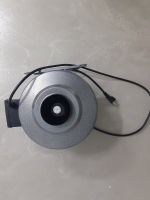 s2 (1).jpg