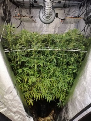f4wk2d (3).jpg