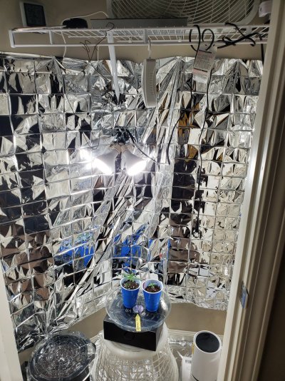 Ge led lights