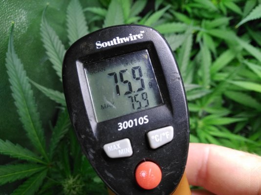 need-help-with-vpd-my-leafe-temps-are-bassackwards-3.jpg