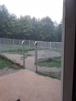 20200814_130421.jpg