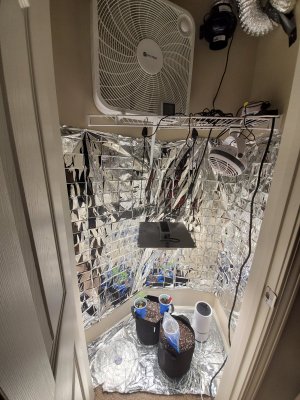 Watch My Small closet grow