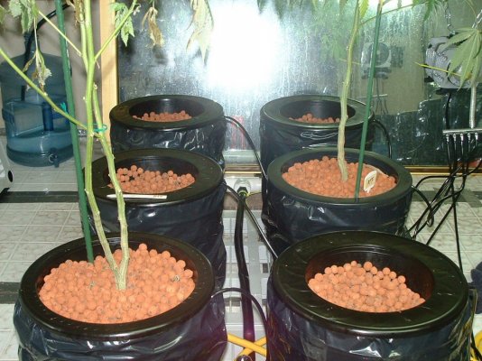 5-gal-homer-bucket-rdwc.jpg