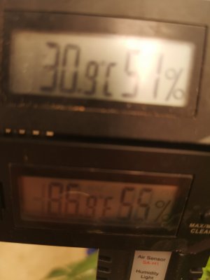 IMG_20200818_211146.jpg