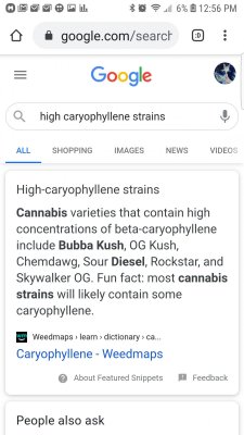 Screenshot_20200824-125623_Chrome.jpg