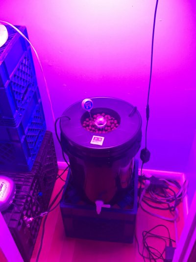 Started today wish me luck