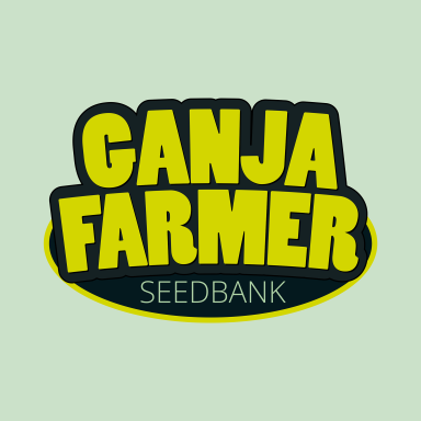 ganjafarmerseed