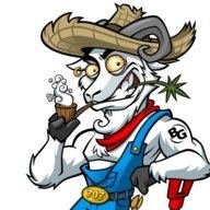 Billygoat