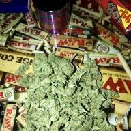 Twisted13