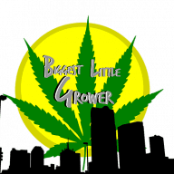 CGG420
