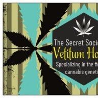 Cannabest420