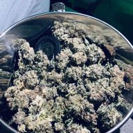 Urkle420