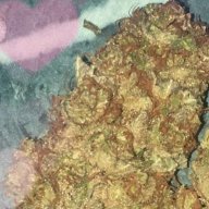 Maddabs710