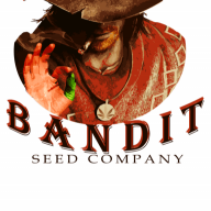 SeedBandit