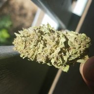 AfgooWizzard