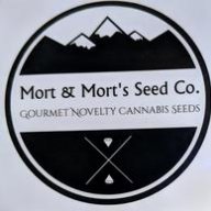 MortsSeedCo