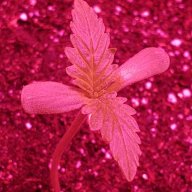 PurpleSkrap