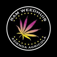 RAM WEEDHUIS
