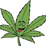 mannimal420