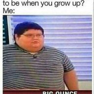 HippoGeee