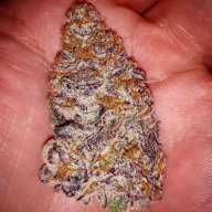 Growshack