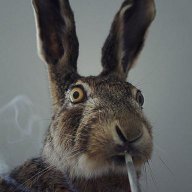 Jackrabbitorganics