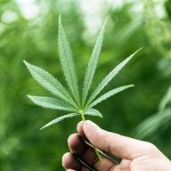 glcultivation