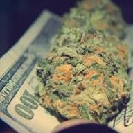 cannabud