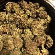 MugTownGrowing