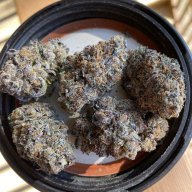 CannaBloom710