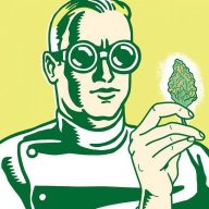 drjekyllkush