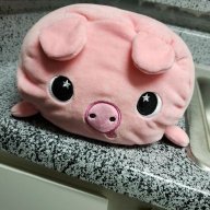 Piggy