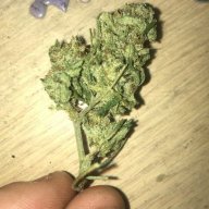 M4nw1th4p74n
