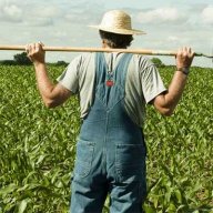 NewEnglandFarmer